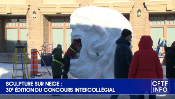 G00033 Sculpture sur neige