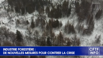 G00023 Industrie Forestière