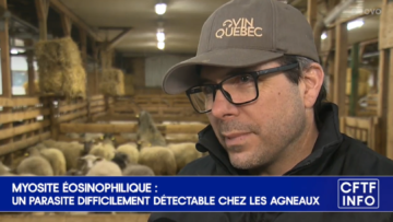 G00034 Myosite éosinophilique