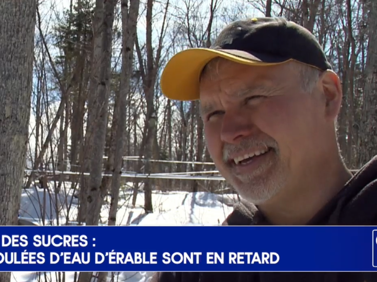 G00021 Temps des sucres