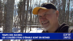 G00021 Temps des sucres